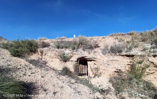 SE VENDE TERRENO RÚSTICO CON CUEVA HABITACIÓN EN ALGUEÑA - ALICANTE