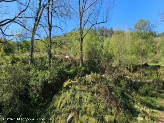 Suelo Rustico en Argomilla de Cayón - CANTABRIA