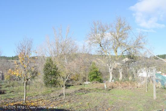 VENTA DE 2 CASAS y 2 SOLARES SAN LORENZO - LEON