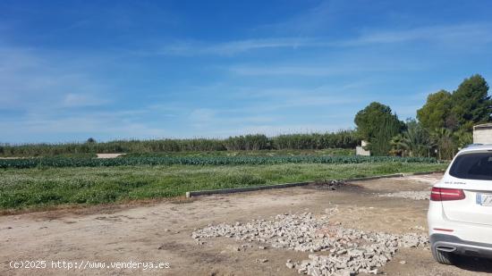 Parcela en Molina de Segura para recreo. - MURCIA