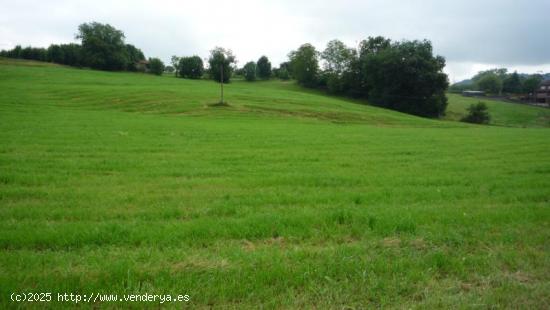 Se Vende en Solares - CANTABRIA