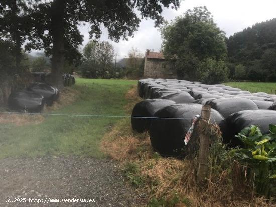 Se Vende en Riaño - CANTABRIA