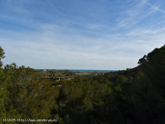 MUY BUENAS VISTAS AL MAR. 1 ó 2 PARCELAS. OPORTUNIDAD - VALENCIA