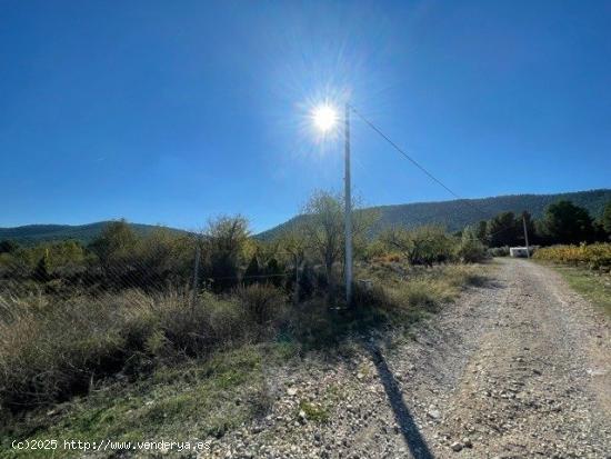 terreno rustico en bullas (cehegin) - MURCIA