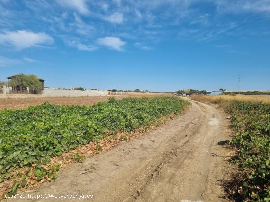  Se vende parcela Segregada de 3470m2 zona Venta Tocino. - CADIZ 