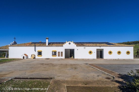 Finca en venta en Estepona (Málaga)