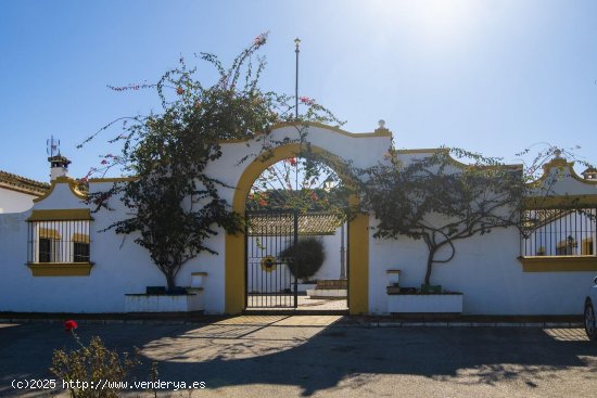 Finca en venta en Estepona (Málaga)