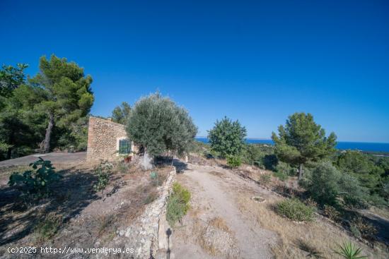 Rustica en Bendinat con 108.000 M2 de terreno - BALEARES