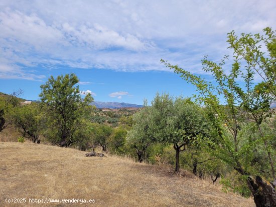 Finca en venta en Monda (Málaga)