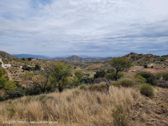 Finca en venta en Monda (Málaga)