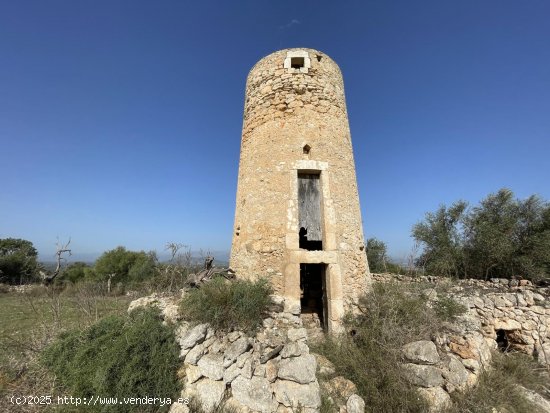  Solar en venta en Llubí (Baleares) 