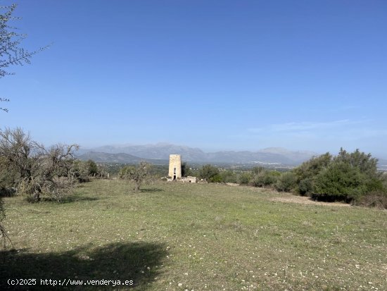 Solar en venta en Llubí (Baleares)