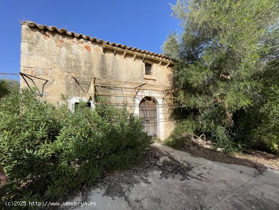  Solar en venta en Llubí (Baleares) 