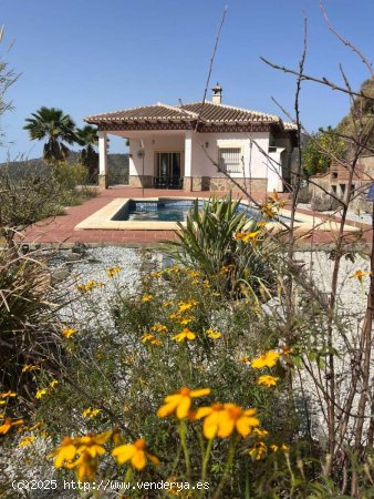  Chalet en alquiler en Torrox (Málaga) 