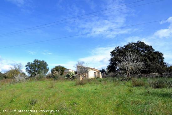 Finca con caseta de herramienta en Muro - BALEARES