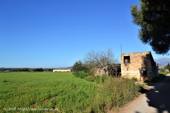 Finca con casa de campo en Llubi - BALEARES