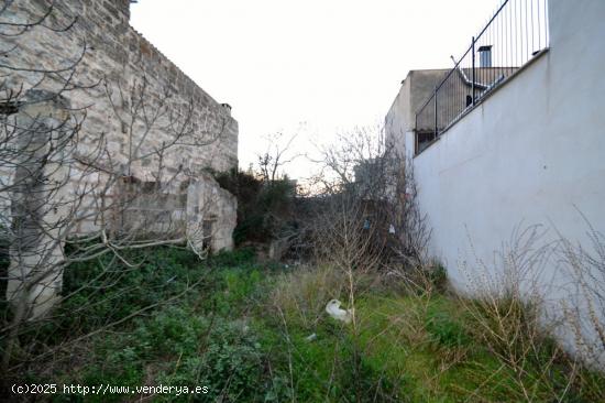 Solar en Muro muy bien ubicado. - BALEARES