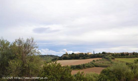 Fantástico solar en Muro - BALEARES