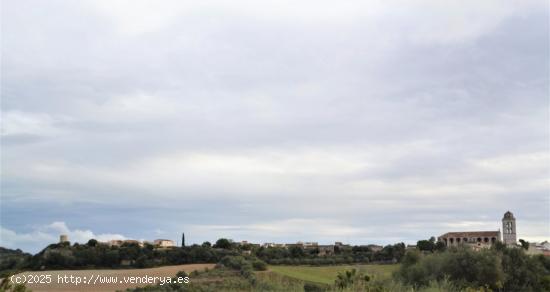 Fantástico solar en Muro - BALEARES