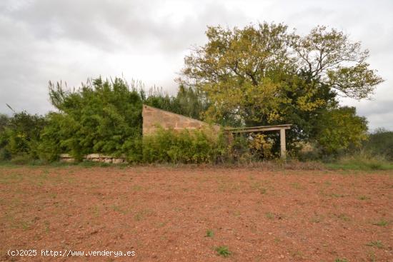 Casa de campo a reformar en Muro - BALEARES