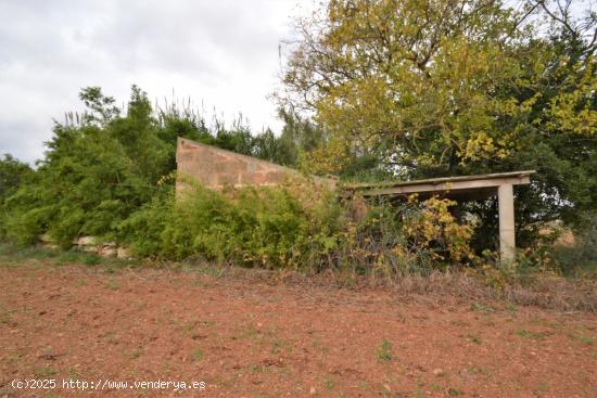 Casa de campo a reformar en Muro - BALEARES