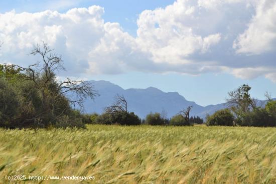 Finca rústica en venta en Llubi. - BALEARES