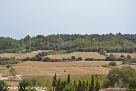 Finca en Suelo Rústico General en Muro - BALEARES