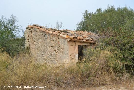 Finca en Suelo Rústico General en Muro - BALEARES