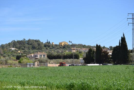 Finca rústica en venta en Santa Margalida. - BALEARES