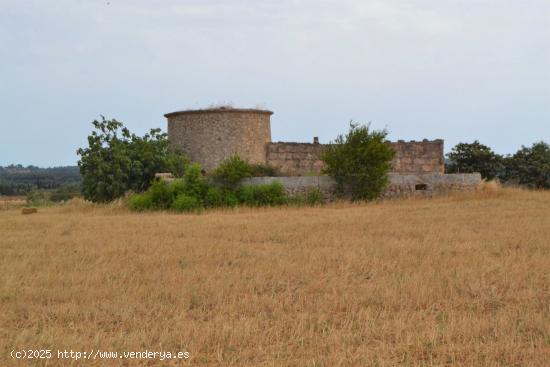 Finca de grandes dimensiones y con maravillosas vistas en venta en Muro. - BALEARES