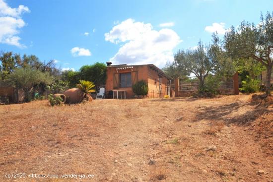 Increíble terreno de 1110 m2   urbanos con vistas a la Tramuntana. - BALEARES