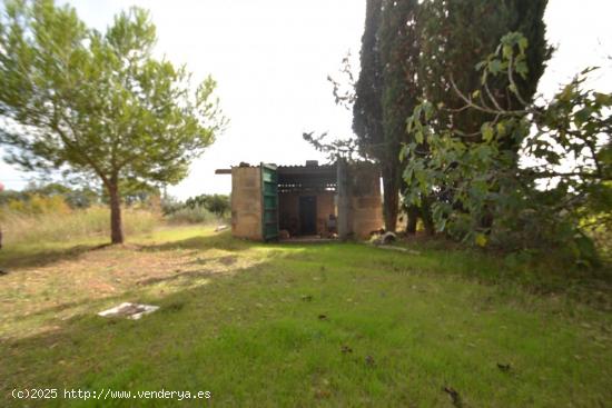 Finca rústica en Muro - BALEARES