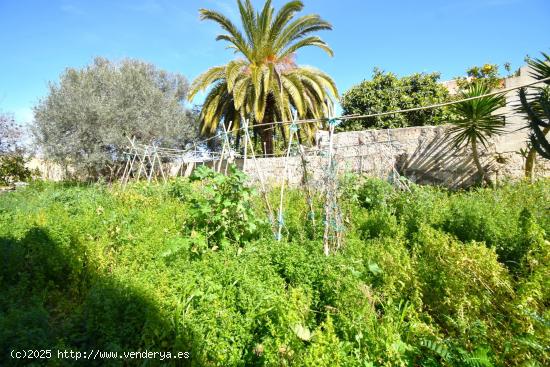 Solar en venta en  Muro - BALEARES