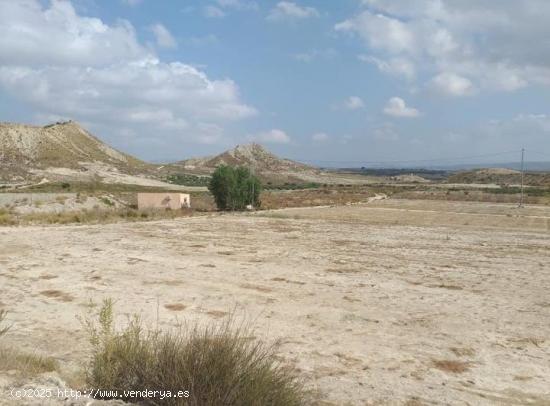 TERRENO RURAL EN CAÑAR SALADO (fENAZAR) - MURCIA