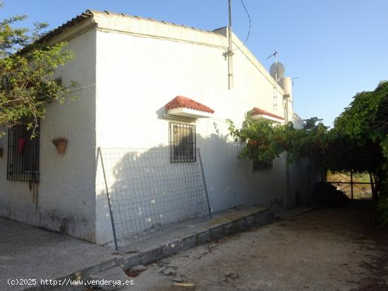 CASA CON AMPLIA PARCELA EN EL FENAZAR - MURCIA