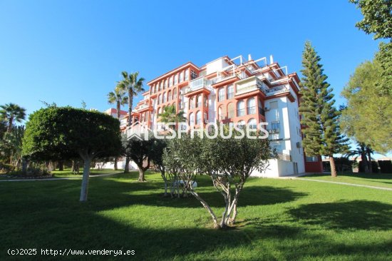 Apartamento en venta en Torrevieja (Alicante)