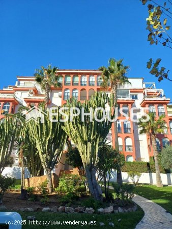 Apartamento en venta en Torrevieja (Alicante)