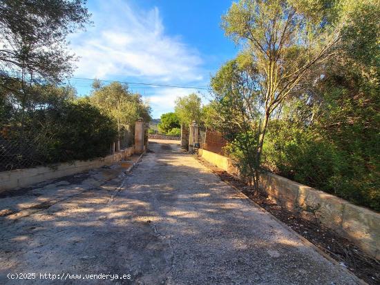 Finca rústica con vivienda carretera Cala Millor - Sa Coma - BALEARES