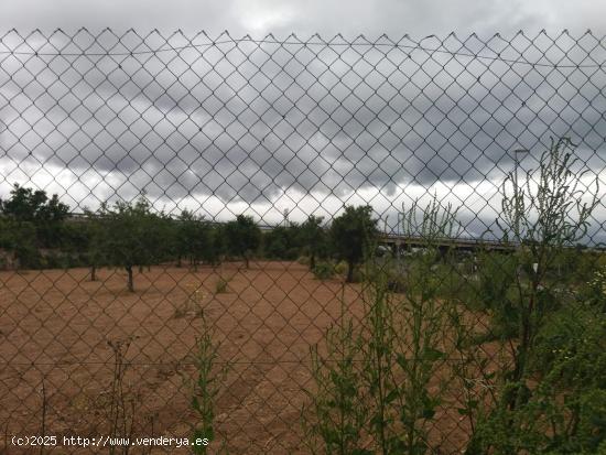 PARCELA RUSTICA DE 2000 M2 EN PARTIDA ALMAFRA EN BENIDORM - ALICANTE