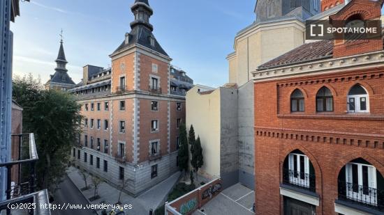 Preciosa habitación en el centro de Madrid - MADRID