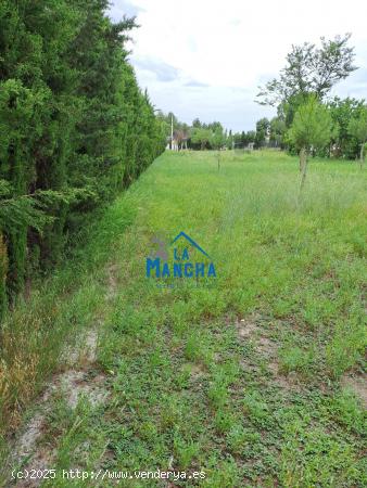 INMOBILIARIA LA MANCHA VENDE TERRENO RUSTICO ZONA CARRETERA DE JAEN (PARAJE CASICA OREA) - ALBACETE