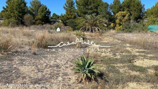 Terreno en venta en Partida Racons, 1 - ALICANTE