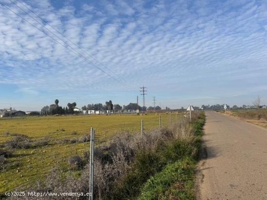  CASABANCO VENDE TERRENO URBANO EN TALAVERA DE LA REAL. - BADAJOZ 