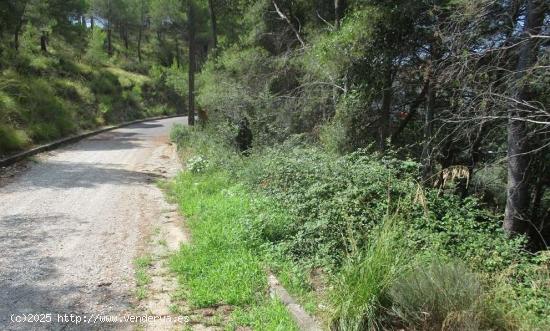  Terreno urbano situado en CANYELLES - BARCELONA 