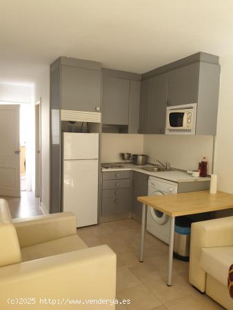 APARTAMENTO DE UN DORMITORIO  EN CANYAMEL DE ALQUILER TEMPORAL - BALEARES