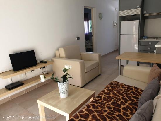 APARTAMENTO DE UN DORMITORIO  EN CANYAMEL DE ALQUILER TEMPORAL - BALEARES