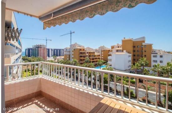  SE ALQUILA APARTMENTO DE 1 DORMITORIO CON PISCINA EN PUNTA PRIMA (ORIHUELA COSTA) TORREVIEJA - ALICA 