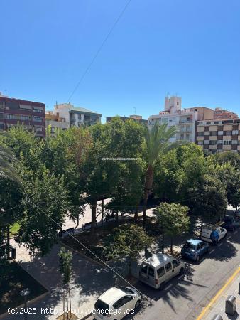 ¡Oportunidad única en Plaza Navarro Rodrigo, Benalúa, Alicante! - ALICANTE