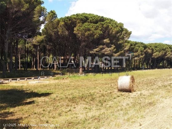 Chalet / Torre en venta  en Sant Antoni de Calonge - Girona