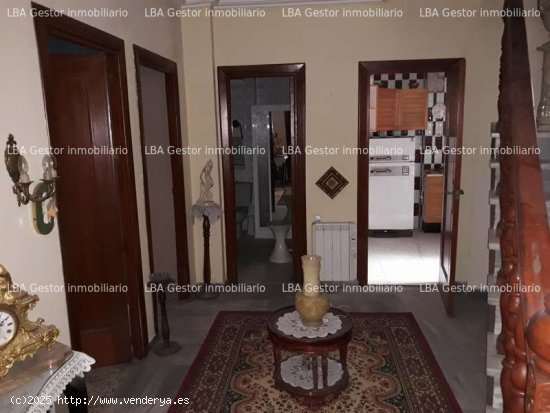  Duplex  con local en el centro de la ciudad. - Linares 